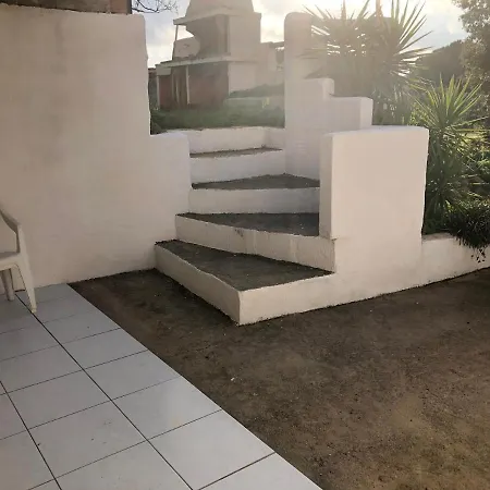 Sarrala *